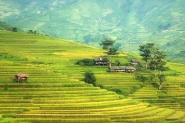 怎样快速去青春痘（如何去痘痘最快方法简单）