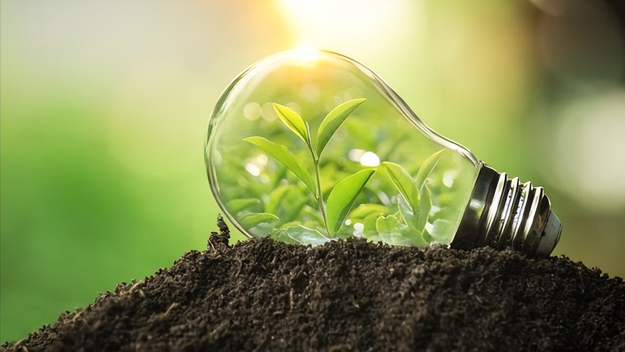 光伏龙头股票有哪些（光伏龙头股排名前十）