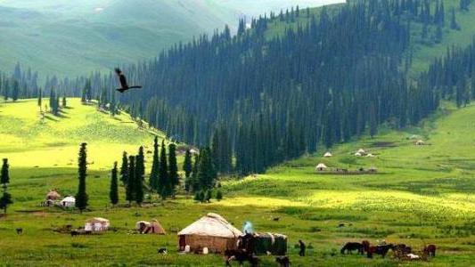 社保卡办哪个银行的好（什么银行的社保卡比较好）