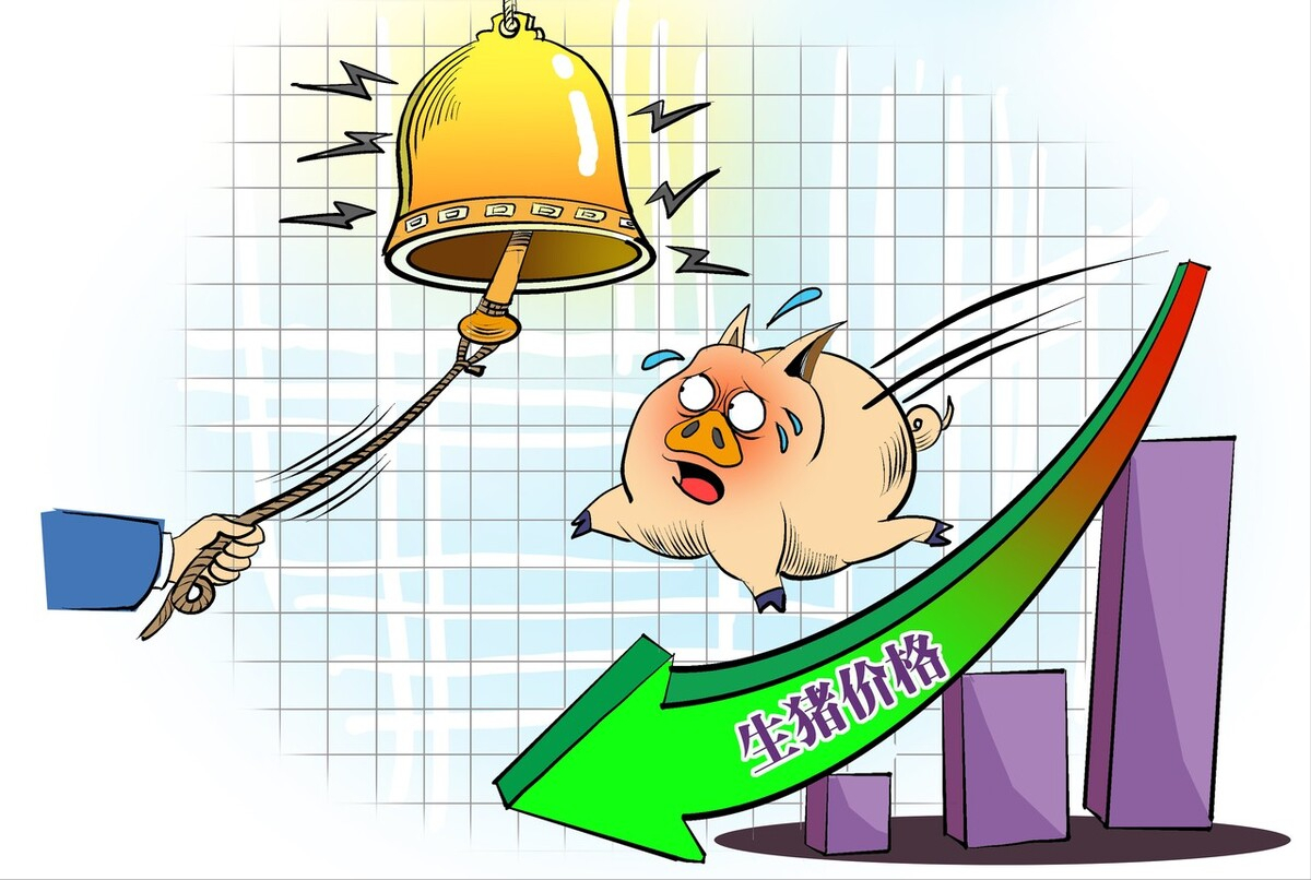 猪肉价格今日价全国各地（今日全国猪肉价格表最新价格）