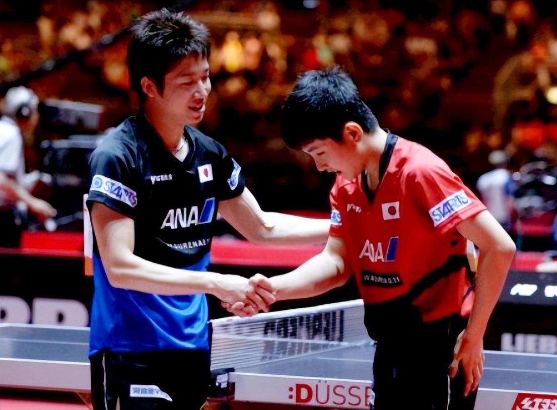 张本智及早年经历(张本智及个人资料简介)