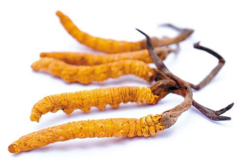 久战不泄祖传中药秘方（揭秘民间超有效的中药壮阳秘方）