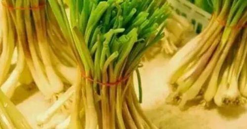 柳蒿芽的作用与功效 「柳蒿芽的作用与副作用」