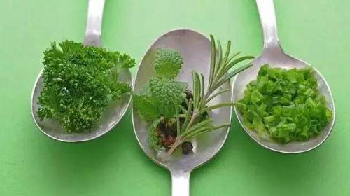 柳蒿芽的作用与功效 「柳蒿芽的作用与副作用」