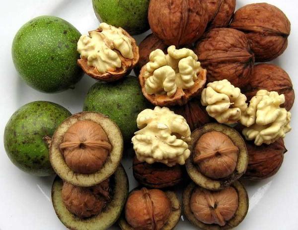 久战不泄祖传中药秘方（揭秘民间超有效的中药壮阳秘方）