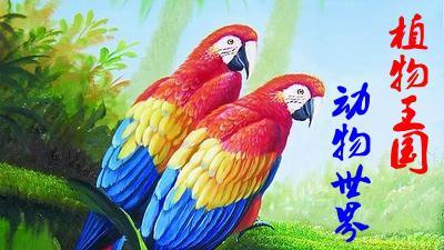 驴头狼是什么动物(驴头狼真的存在吗)