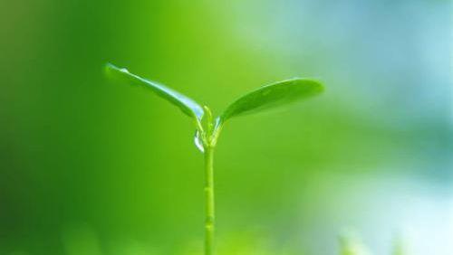 情绪控制的意思简述(情绪控制的意思是什么)