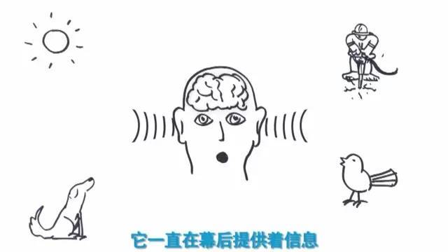 3d imax（电影小知识：IMAX和3D的区别）