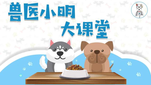 猫口臭怎么解决
