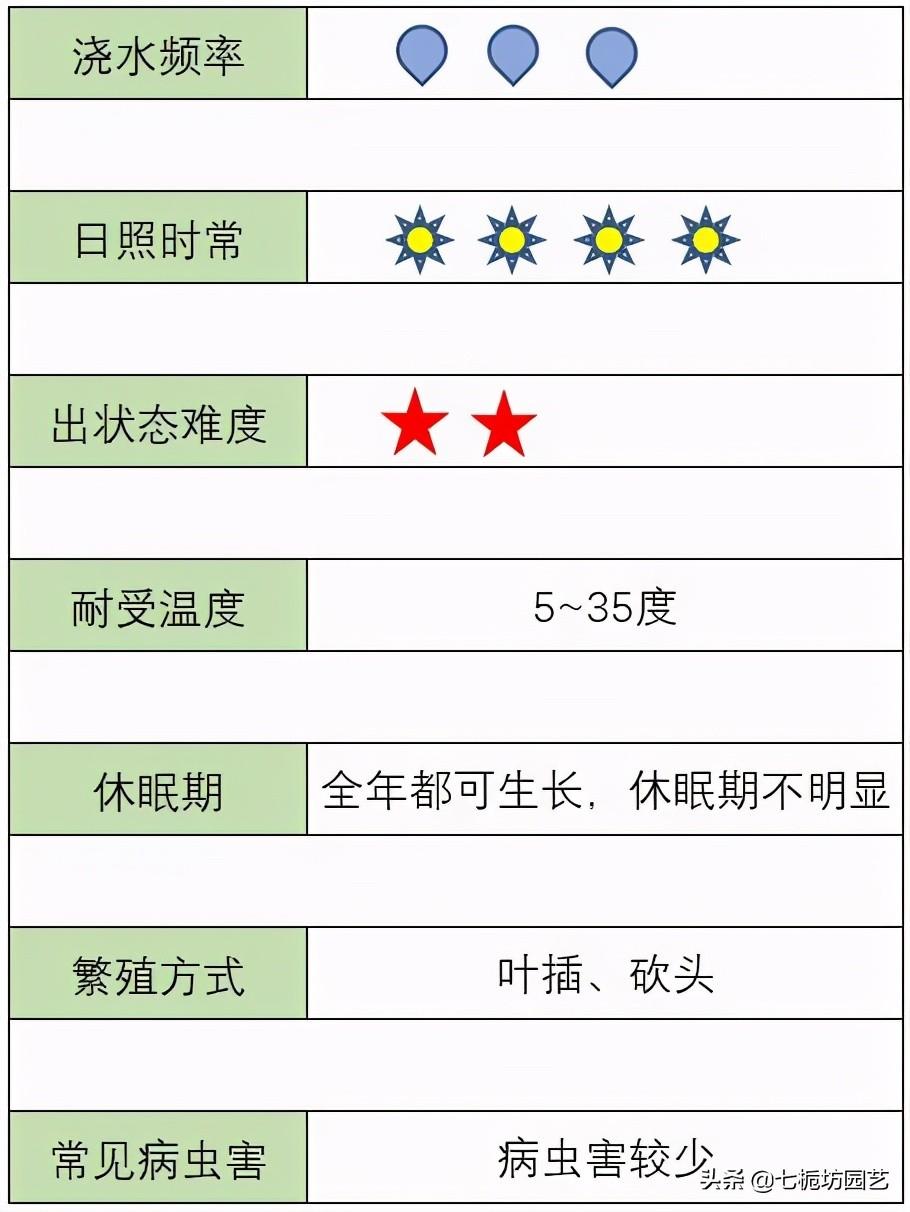 黄丽怎么施肥,黄丽怎么繁殖? 黄丽怎么施肥,黄丽怎么繁殖?