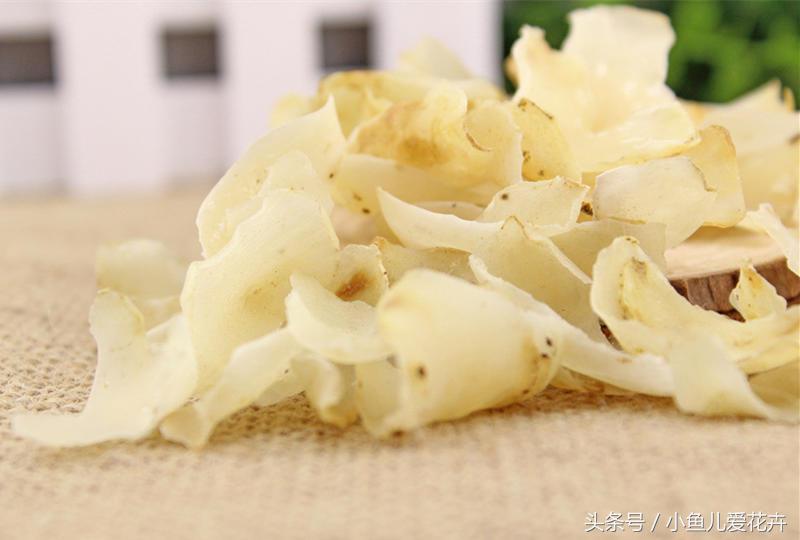 百合开花之后怎么处理,百合一年开花几次,如何让百合分叉多开花? 百合开花之后怎么处理,百合一年开花几次,如何让百合分叉多开花?