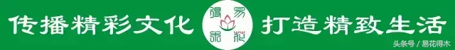 花菖蒲怎么修剪，菖蒲开花图片?