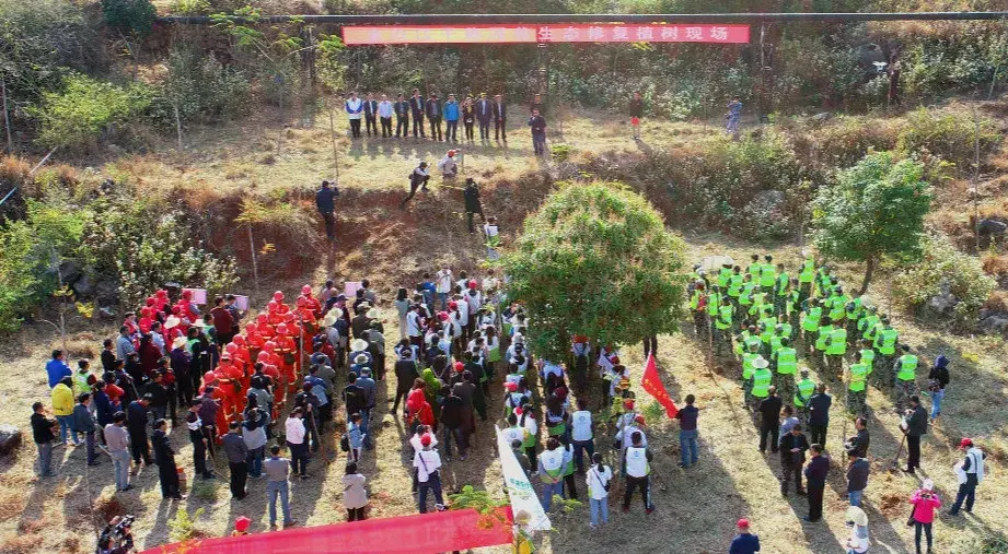 地涌金莲怎么分株，怎么移栽，栀子花几月份移栽?