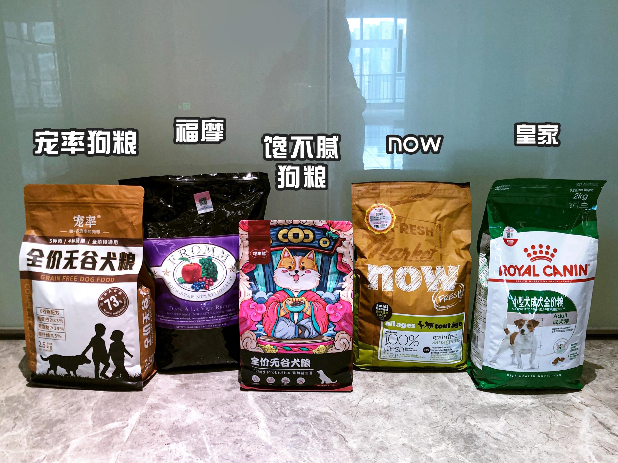 狗狗讨厌主人的表现有哪些(狗狗为什么讨厌主人) 狗狗讨厌主人的表现有哪些(狗狗为什么讨厌主人)