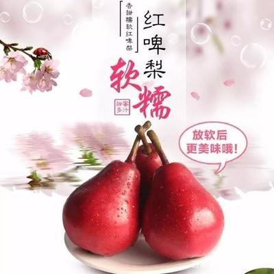 红啤梨怎么催熟变软，红啤梨怎么放软