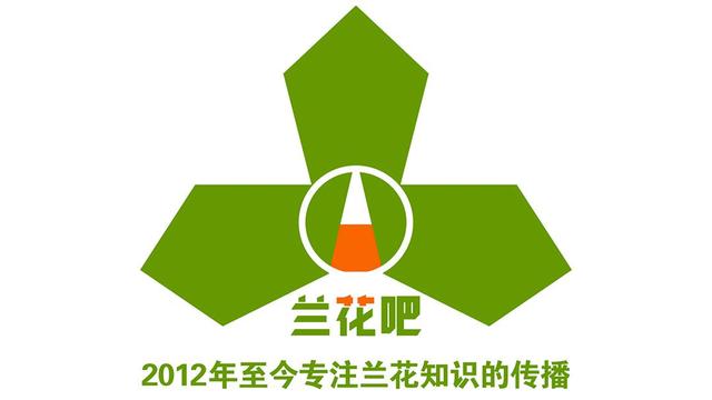 盆栽兰花养殖方法（盆栽兰花如何养殖）