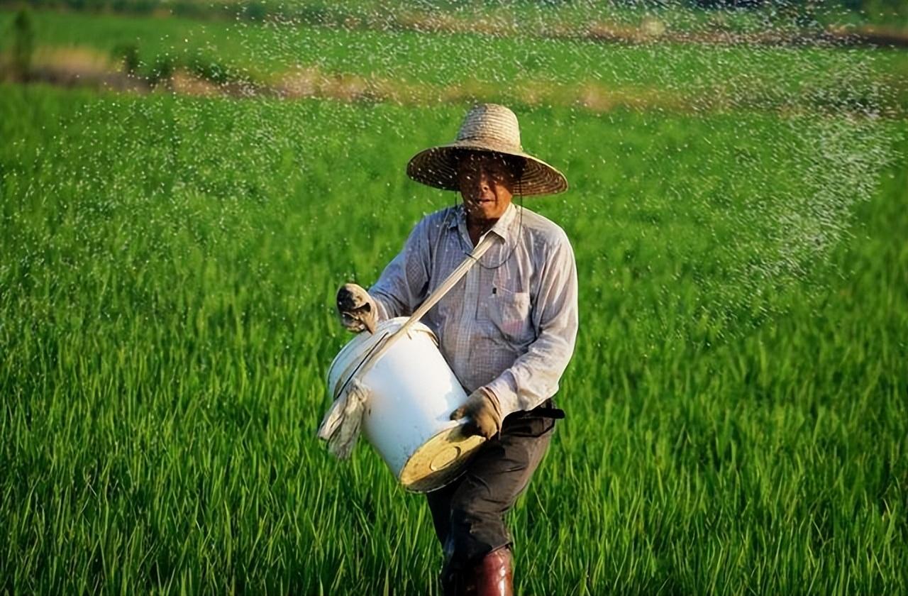 农业是根本,农民是基石,是大地的智者,是自然的使者 农业是根本,农民是基石,是大地的智者,是自然的使者