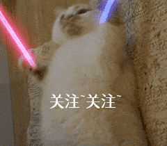 阿拉斯加犬怎么选(阿拉斯加犬怎么挑选)