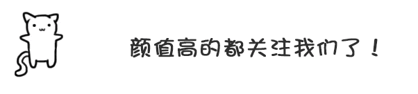 泰迪怕冷还是怕热(泰迪夏天怎么过)